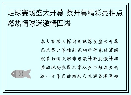 足球赛场盛大开幕 蔡开幕精彩亮相点燃热情球迷激情四溢