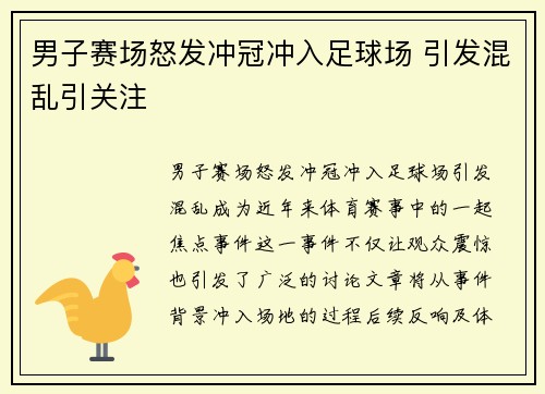 男子赛场怒发冲冠冲入足球场 引发混乱引关注