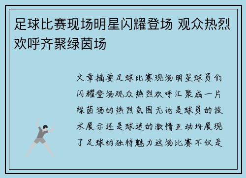 足球比赛现场明星闪耀登场 观众热烈欢呼齐聚绿茵场