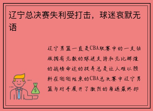 辽宁总决赛失利受打击，球迷哀默无语