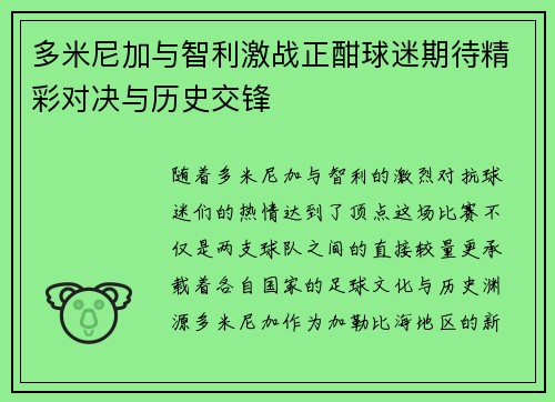多米尼加与智利激战正酣球迷期待精彩对决与历史交锋