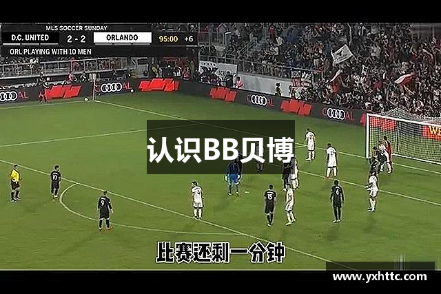 认识BB贝博